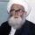 Critique of an Akhbari Marja: Ayatullah Namazi Shahrudi and the Credibility of al-Kafi